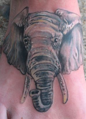 Elephant Head Feet Tattoo